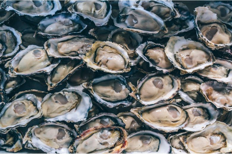 Wellfleet Oyster Fest event